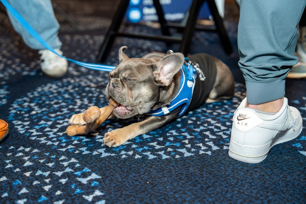 deBanked CONNECT MIAMI 2026