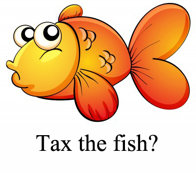 tax the fish