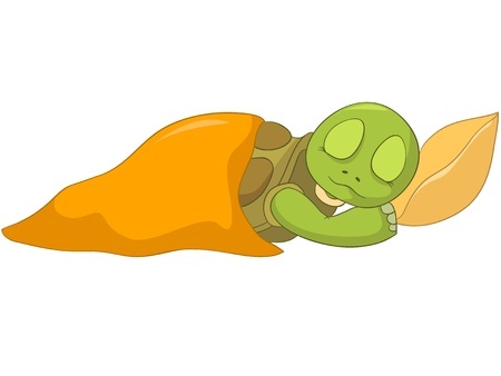 Turtle Sleeping