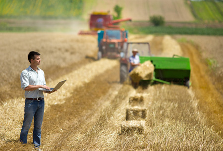 surpervising the harvest