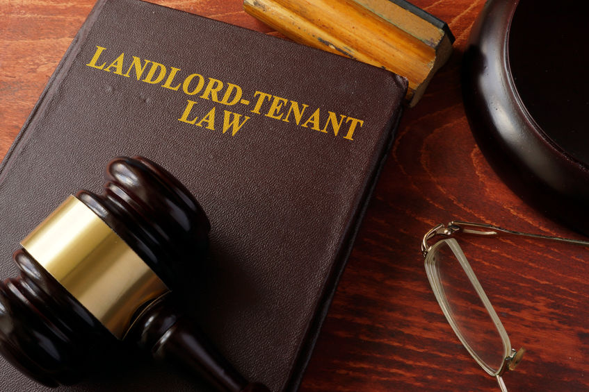 landlord tenant law